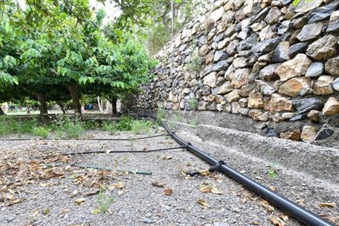 Finca i Motril, Granada, Motril - € 268.000 | Ref: 246 - foto 2